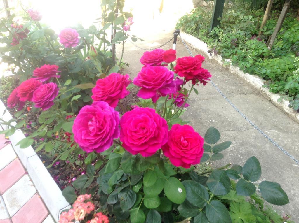 Pink Guest House Obzor Buitenkant foto